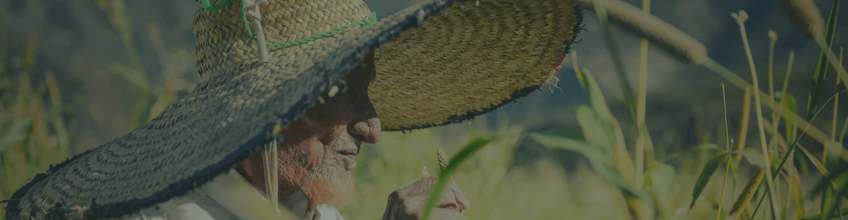 صورة استعراضية للمتجر، تستخدم عادةً للترويج عن المنتجات أو الإعلان عن الخصومات.