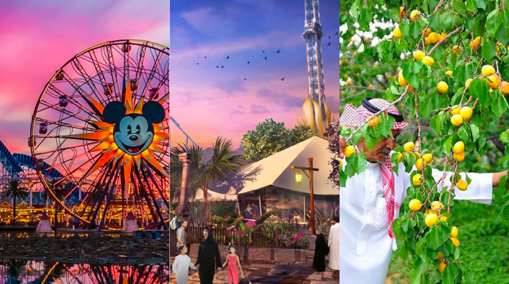 صورة متعلقة بالكلام المصاحب لها.